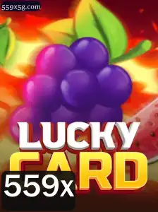 Explorando o Fascinante Jogo de Cartas LuckyCard e a Estratégia 559x